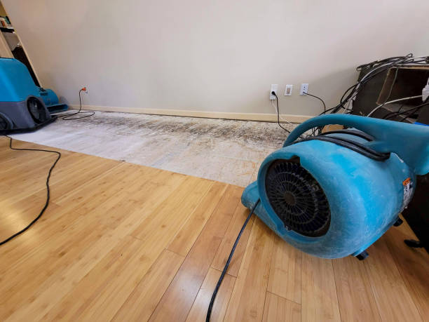 Professional Water Damage Repair technician working in Huntsville, UT